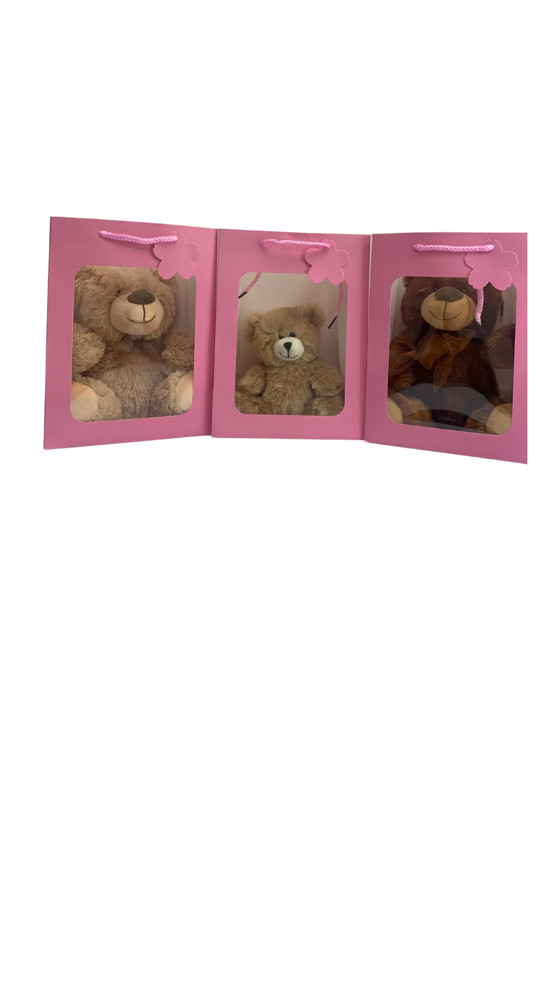 Brown Bear in PINK Transparent Gift Bag Je' La Diamond Luxe Gifts Stuffed Push Animal