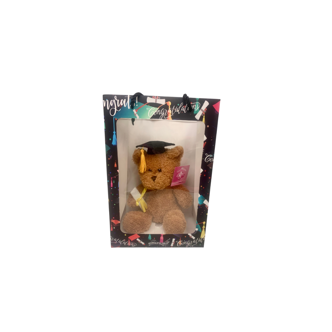 Brown Graduation Bear in Black Graduation Gift Bag