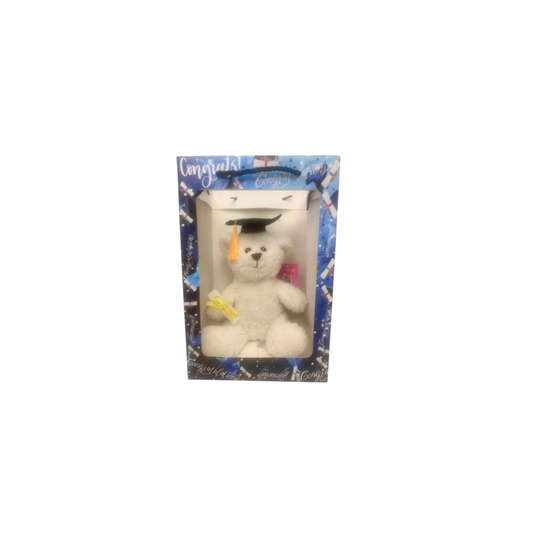 White Graduation Bear in Blue Graduation Gift Bag