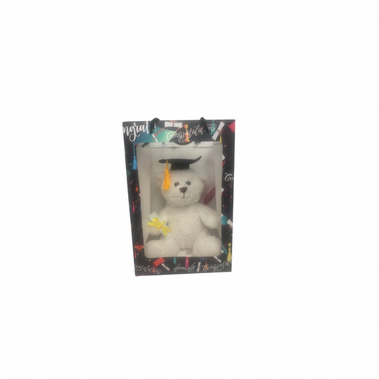 White Graduation Bear in Black Graduation Gift Bag