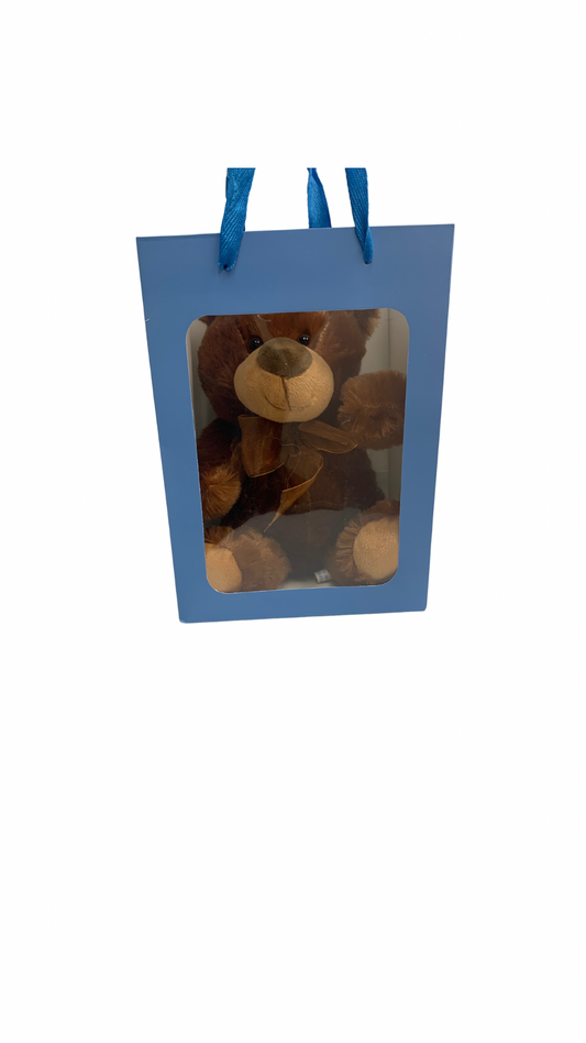 Brown Bear in Blue Transparent Gift Bag