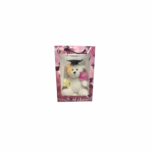 White Graduation Bear in Pink Graduation Gift Bag