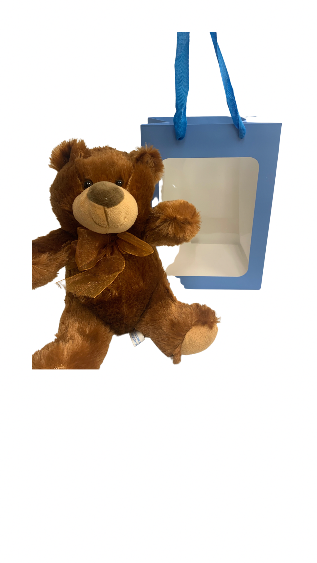 Brown Bear in Blue Transparent Gift Bag