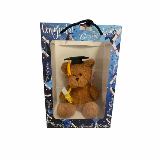 Brown Graduation Bear in Blue Graduation Gift Bag